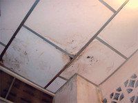 chongtham7 Thumbnail