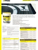 webercolor poxy- Bản in thông tin sản phẩm