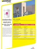  TDS_weberdrysealpro_2022