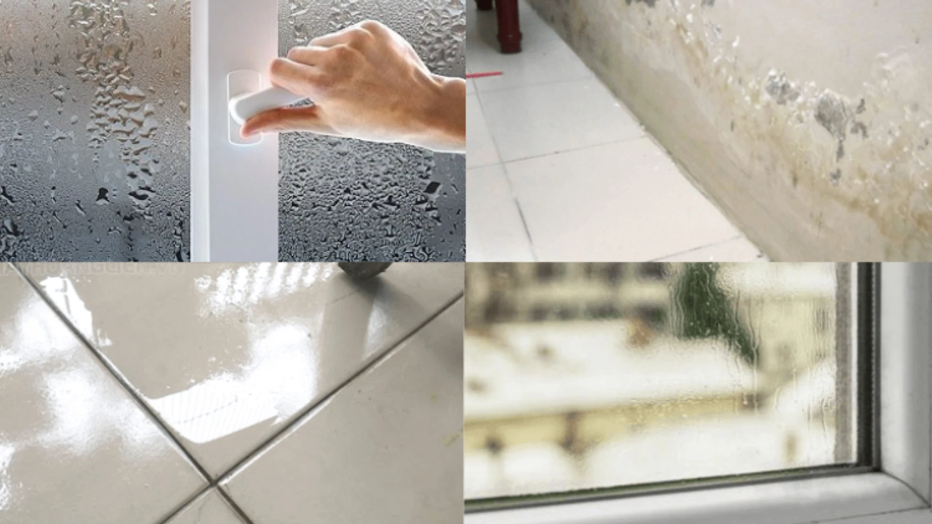 Cách chống nồm ẩm trong nhà triệt để, hiệu quả tức thì