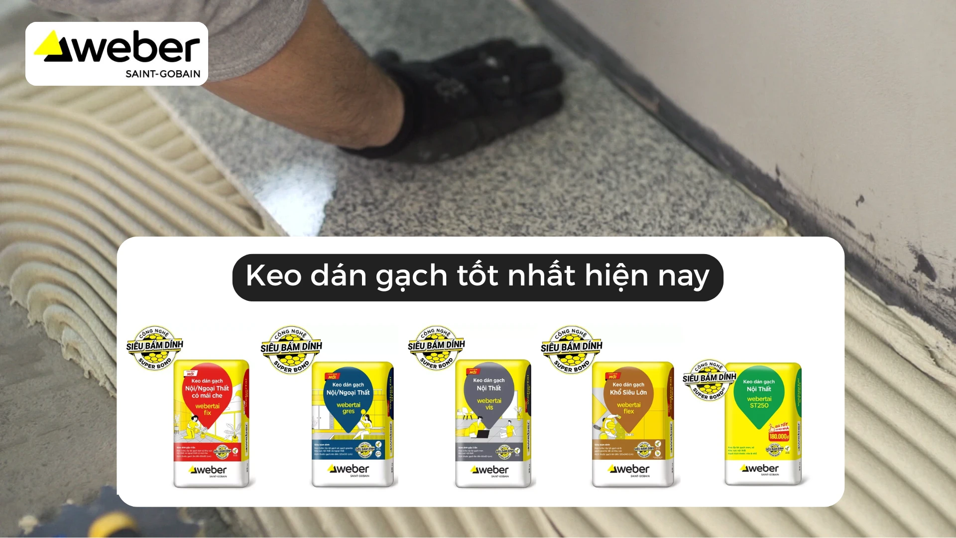 Keo Dán Gạch Tường, Lát nền Cao Cấp, Giá Tốt Nhất