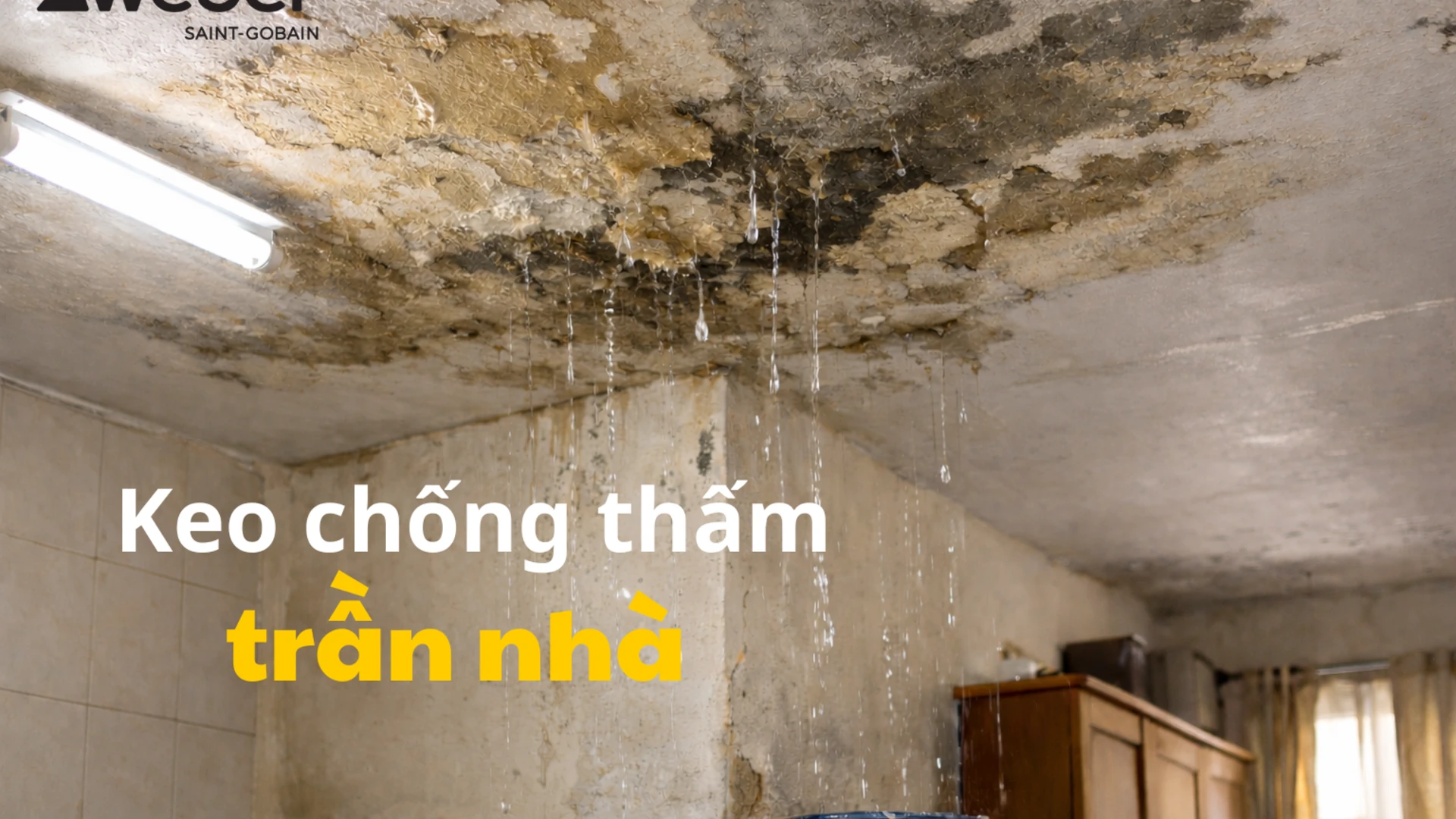 Keo chống thấm trần nhà tốt, giá rẻ nhất