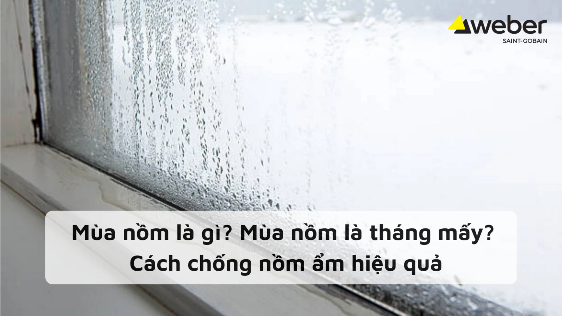Mùa nồm là gì? Mùa nồm kéo dài bao lâu? Cách chống nồm ẩm hiệu quả