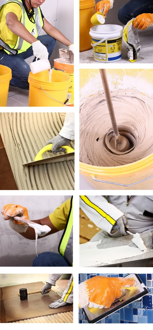 dich-vu-chuyen-nghiep-weber-1