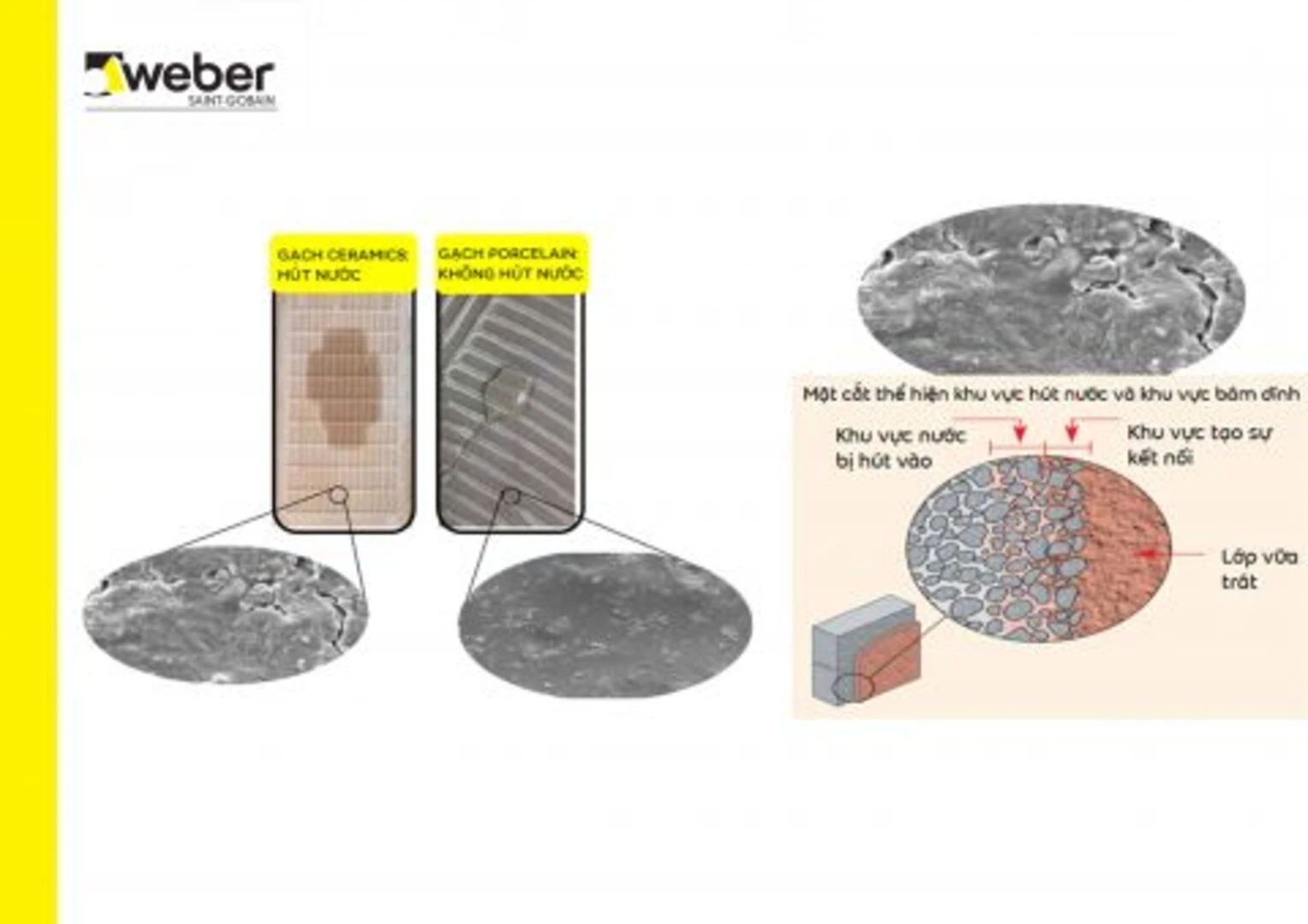 Giải pháp xử lý gạch ốp tường bị rơi - cơ chế bám dính Giải pháp xử lý gạch ốp tường bị rơi