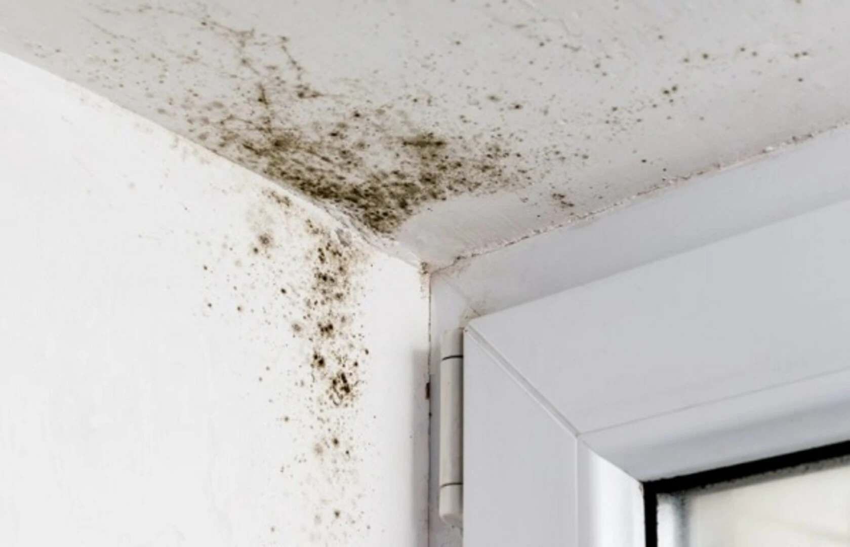 Dấu hiệu nhận biết nhà vệ sinh bị thấm nước