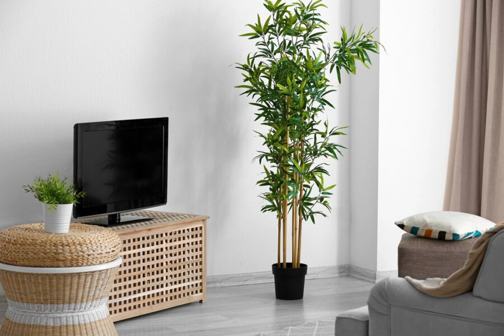 Cải tạo nhà đón Tết 6