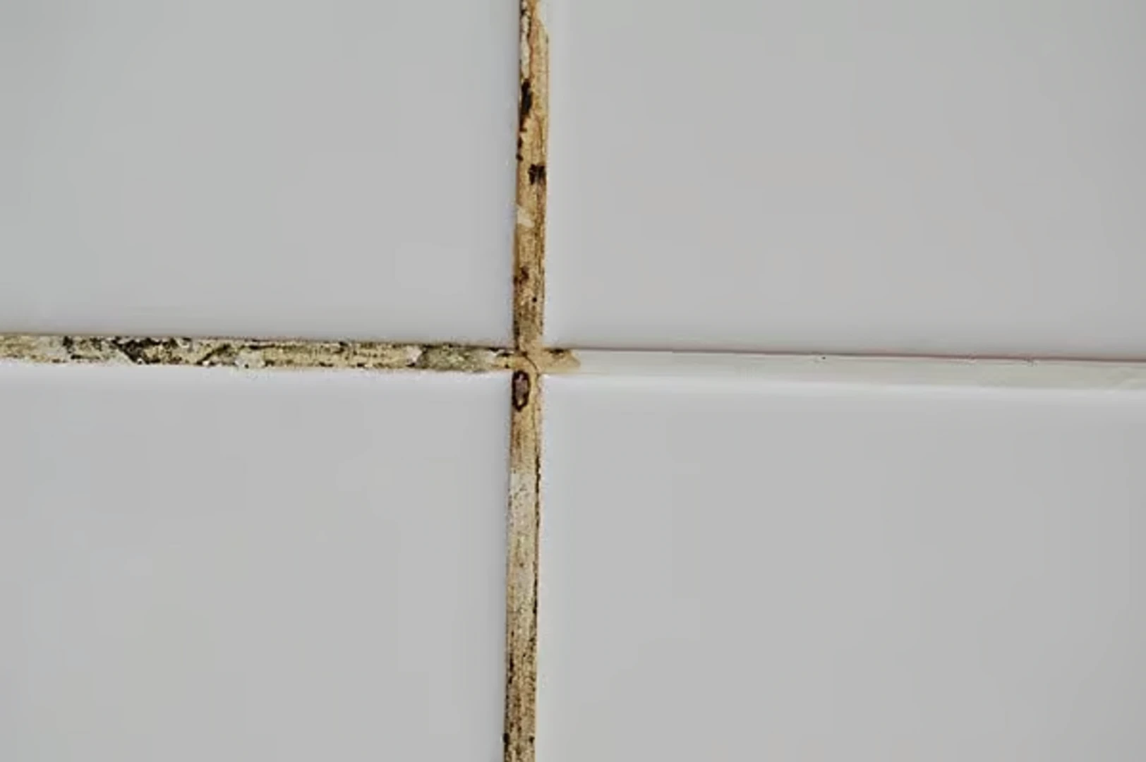 Những dấu hiệu nhận biết ron gạch đã cũ, hư hỏng cần thay mới