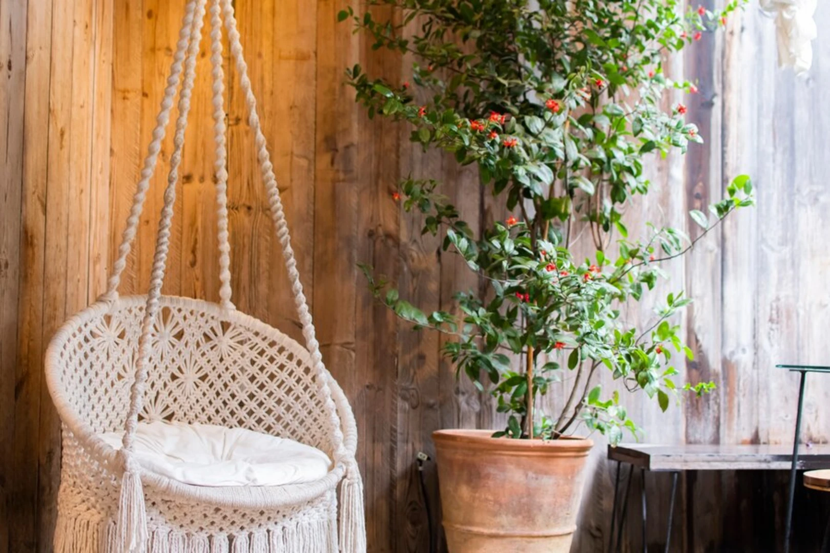 Cải tạo ban công chung cư theo phong cách thiết kế Bohemian