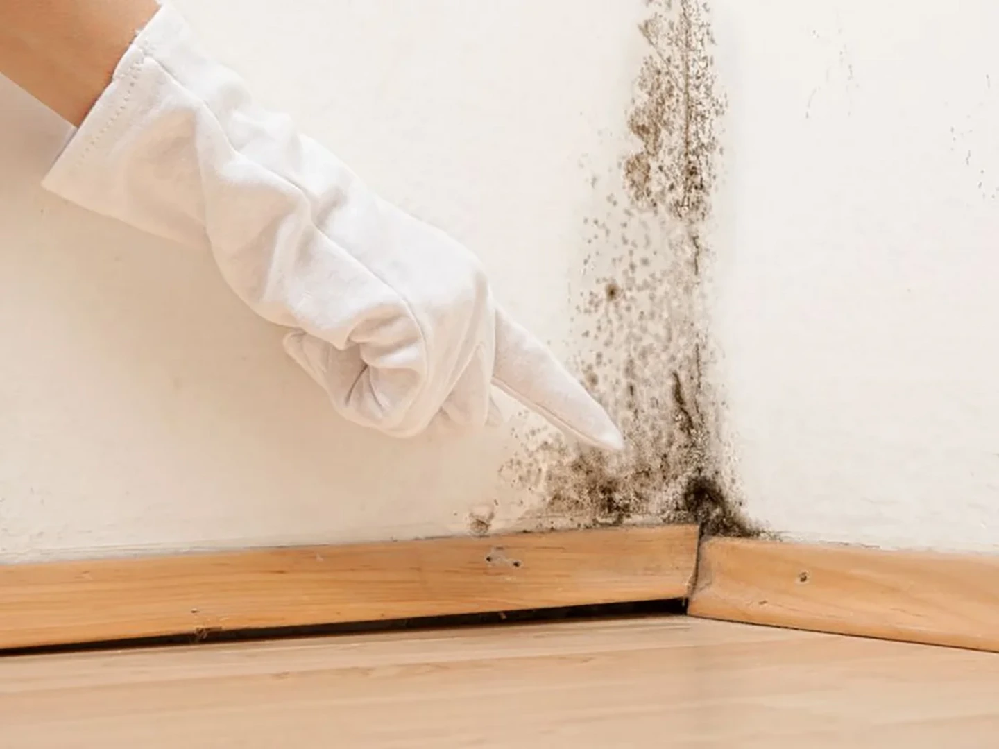 Lưu ý xây nhà mùa nồm - Thời tiết nồm ẩm gây hư hỏng công trình, nội thất, đồ đạc và ảnh hưởng nghiêm trọng đến không gian sống