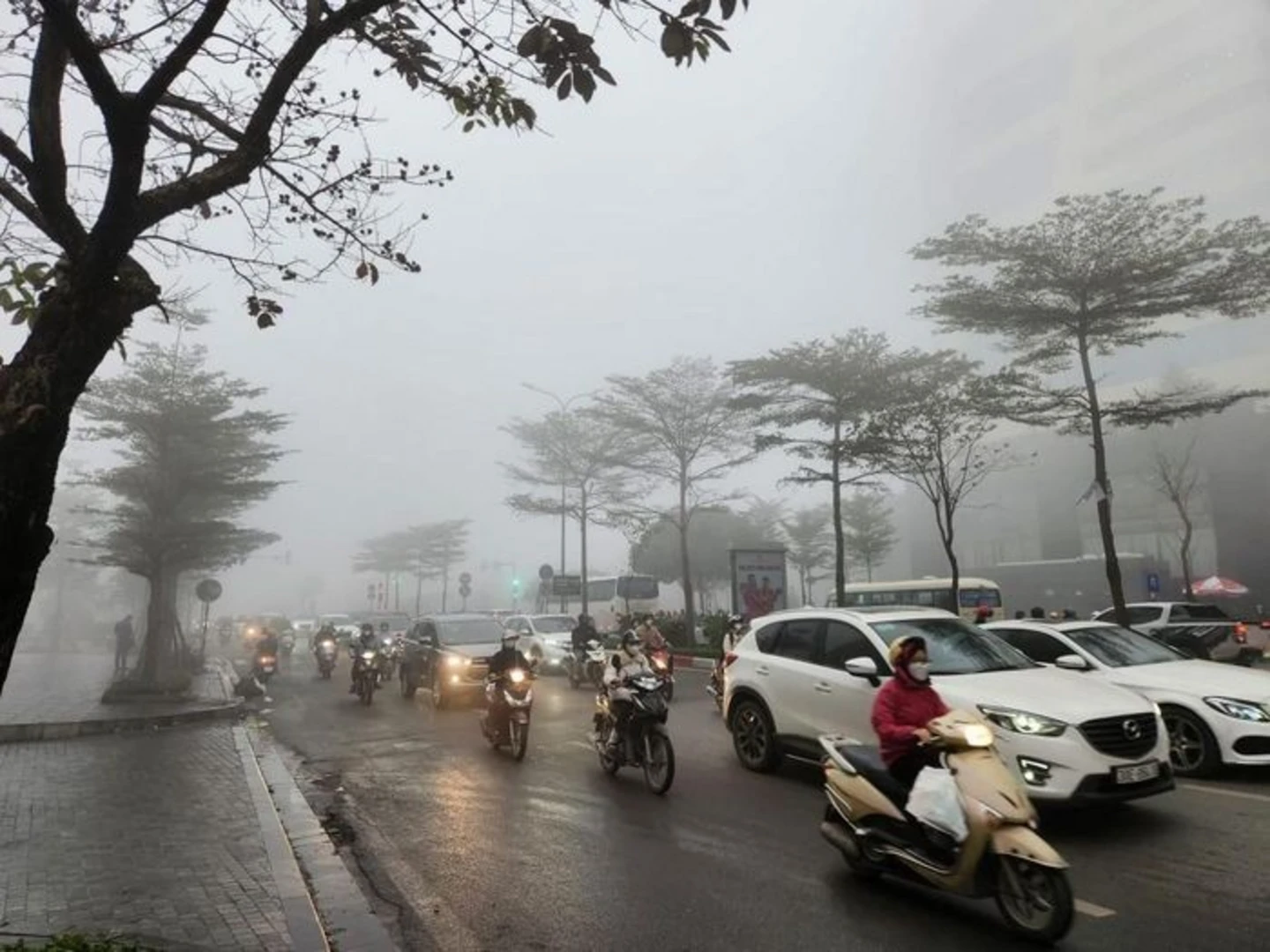 Mùa nồm là hiện tượng thời tiết đặc trưng ở miền Bắc Việt Nam