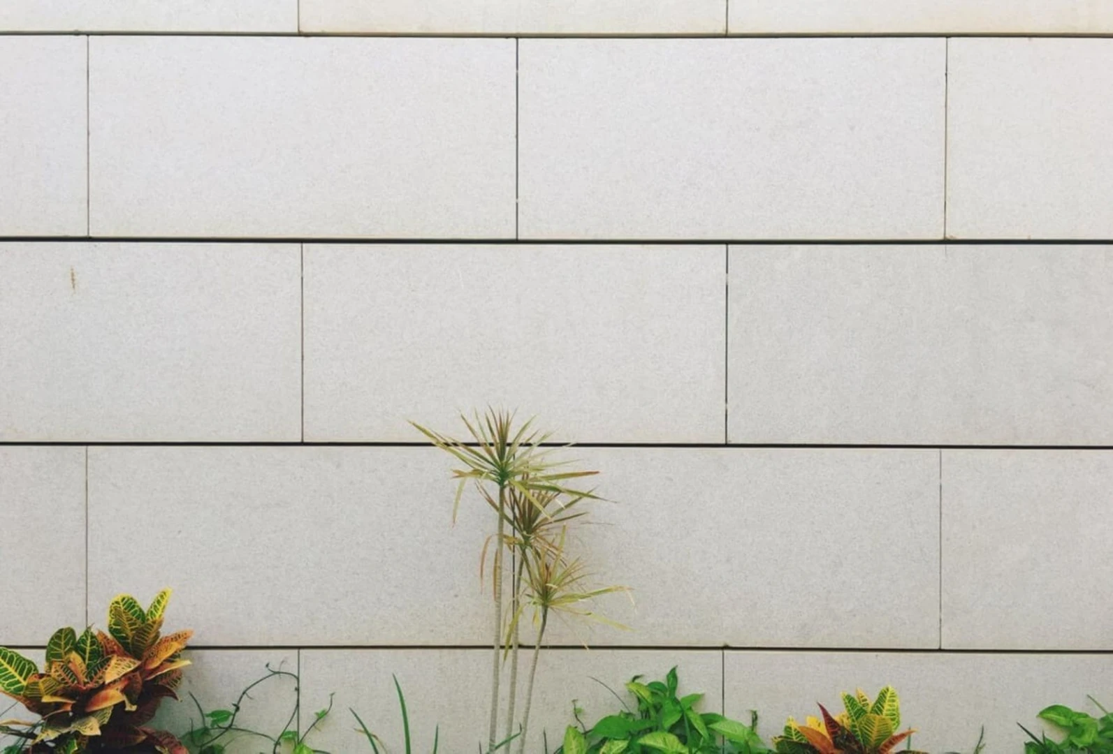 Gạch ốp tường ngoài trời màu trắng có đa dạng mẫu mã, kích thước