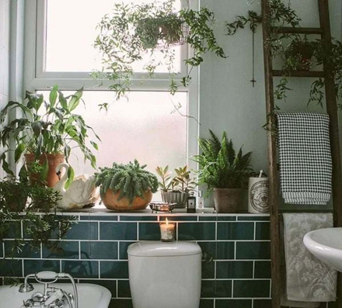 Ý tưởng trang trí thêm cây xanh khi cải tạo nhà vệ sinh