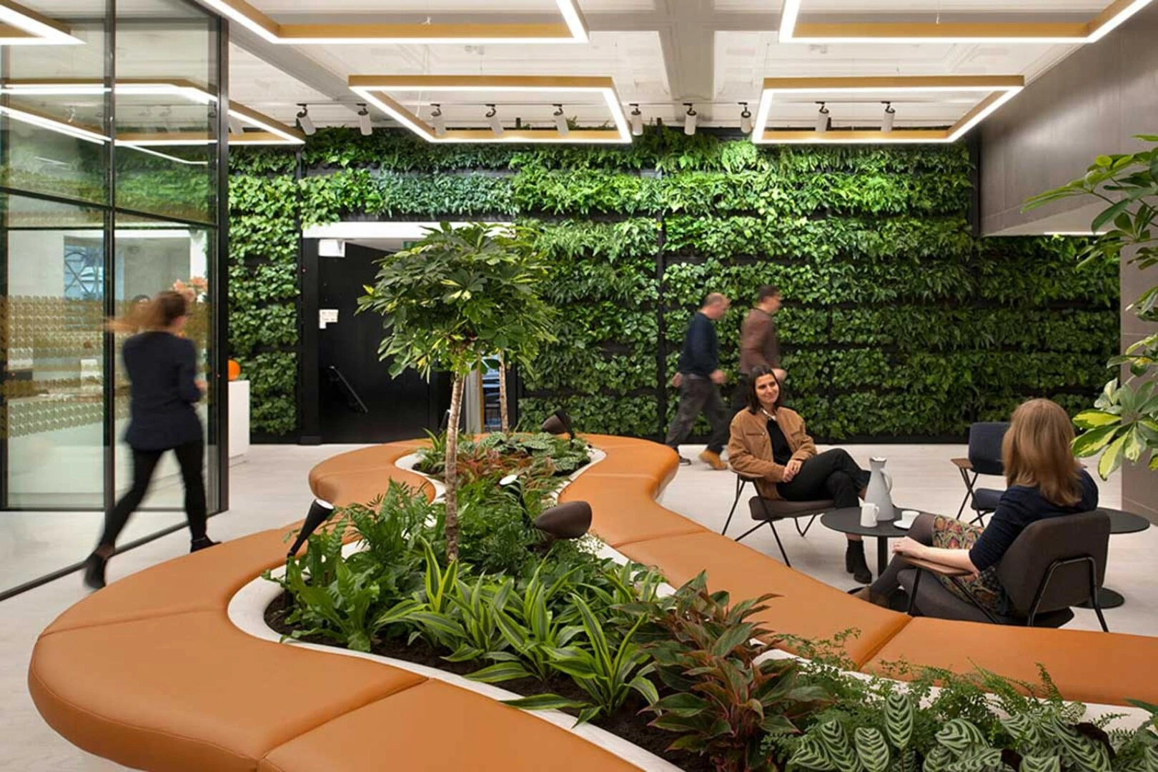 Thiết kế văn phòng phong cách Biophilic thường kết hợp cây xanh với ánh sáng tự nhiên