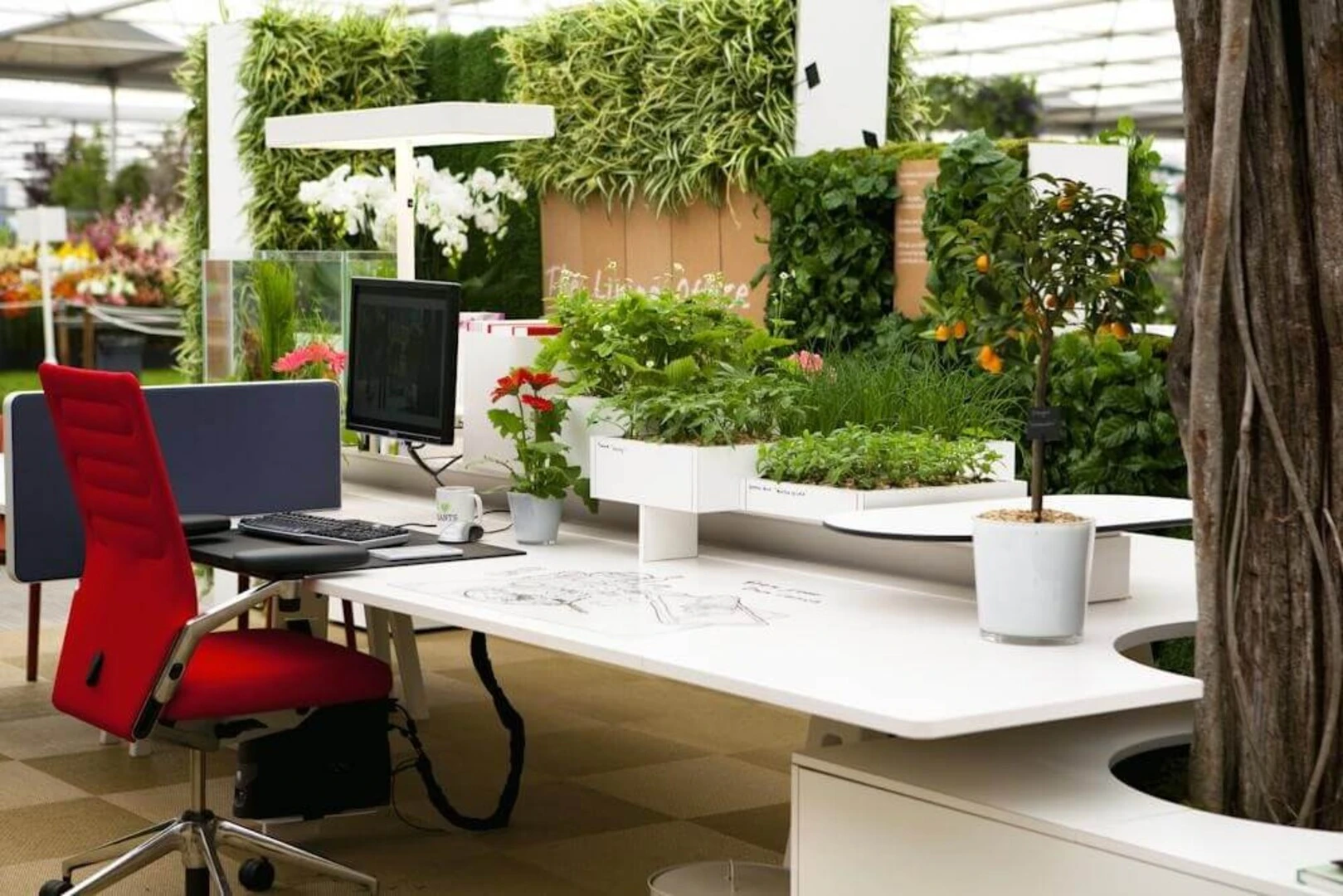 Thiết kế nội thất văn phòng phong cách Biophilic