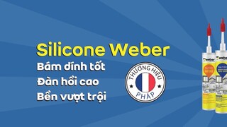 Weber