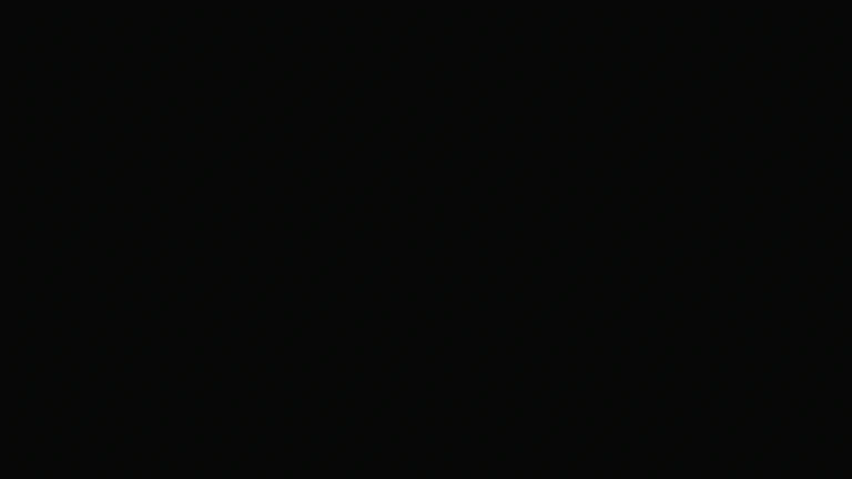 261 Đen